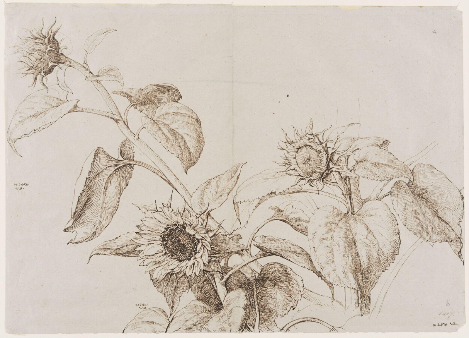 Drawing, William Mulready