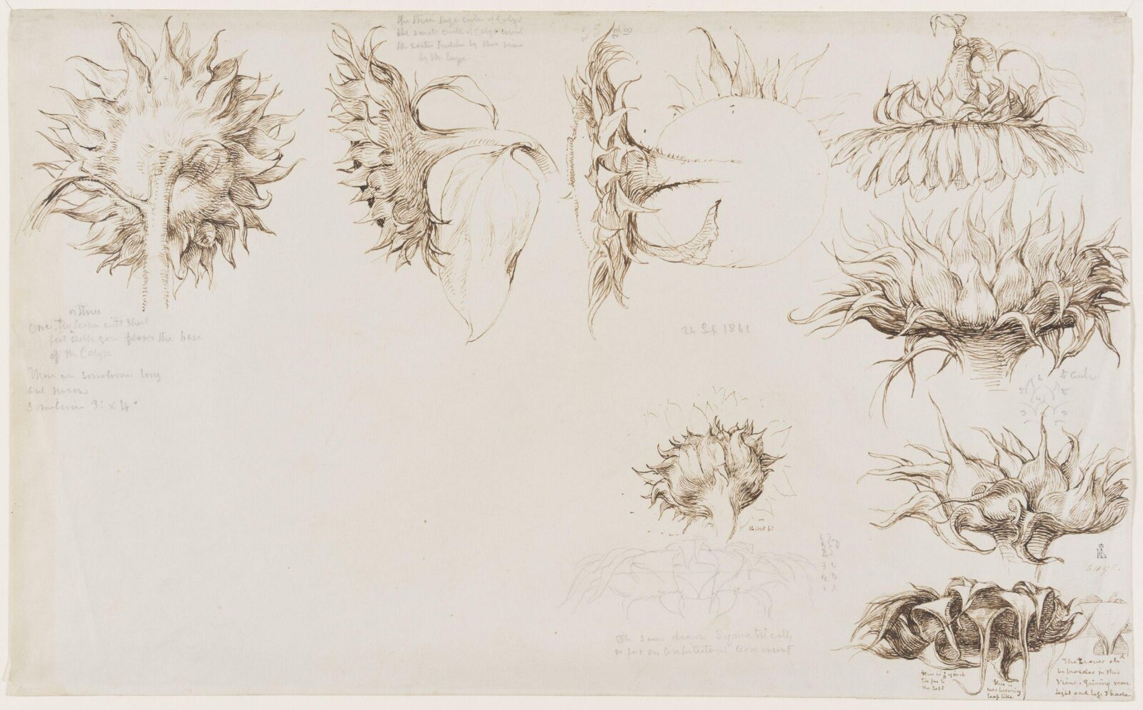 Drawing, William Mulready