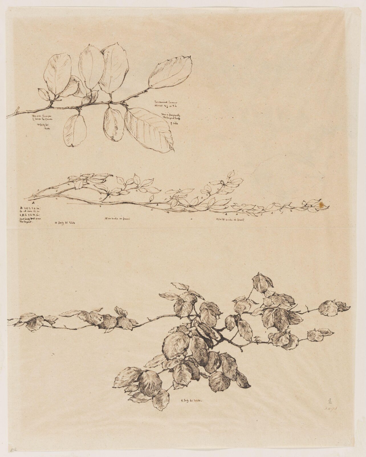 Drawing, William Mulready