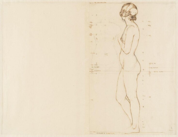 Study of a standing female nude top image