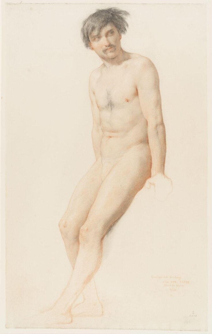 Study of a standing male nude top image
