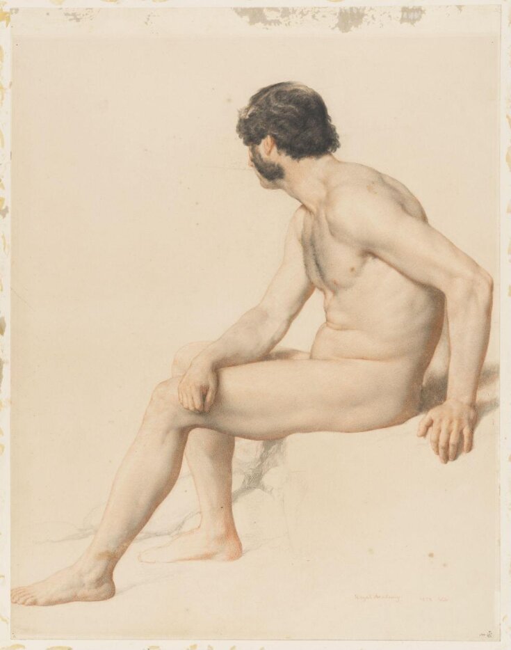 Seated Male Nude top image