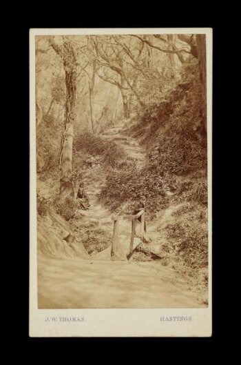 A photograph of two children in a forest