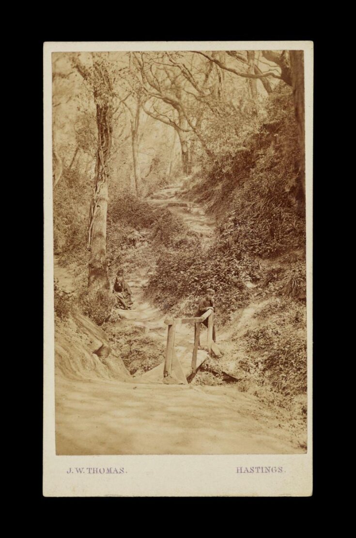 A photograph of two children in a forest top image