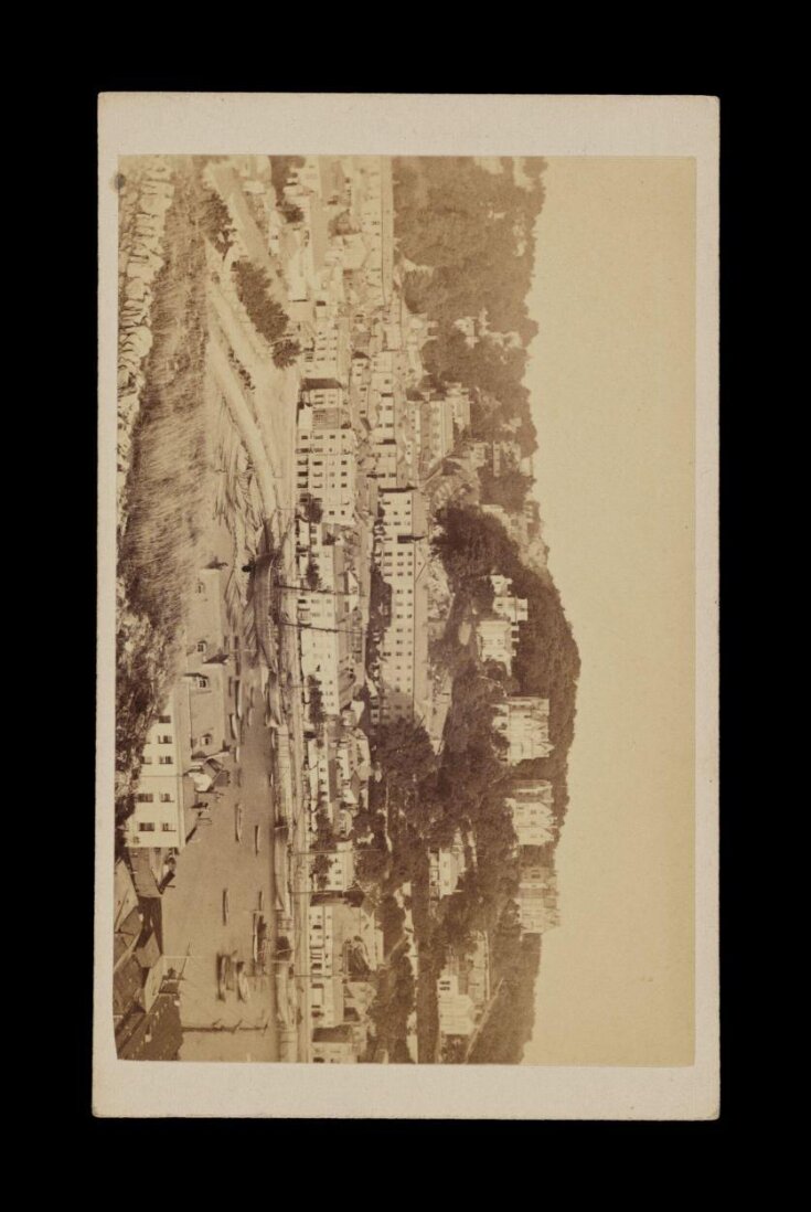 A photograph of 'Torquay from Waldon Hill' top image