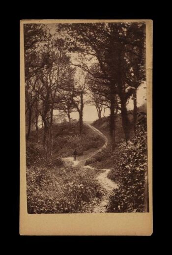 A photograph of 'Fairlight Glen'