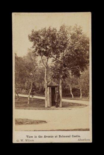 A photograph of 'View in the Avenue at Balmoral Castle.'