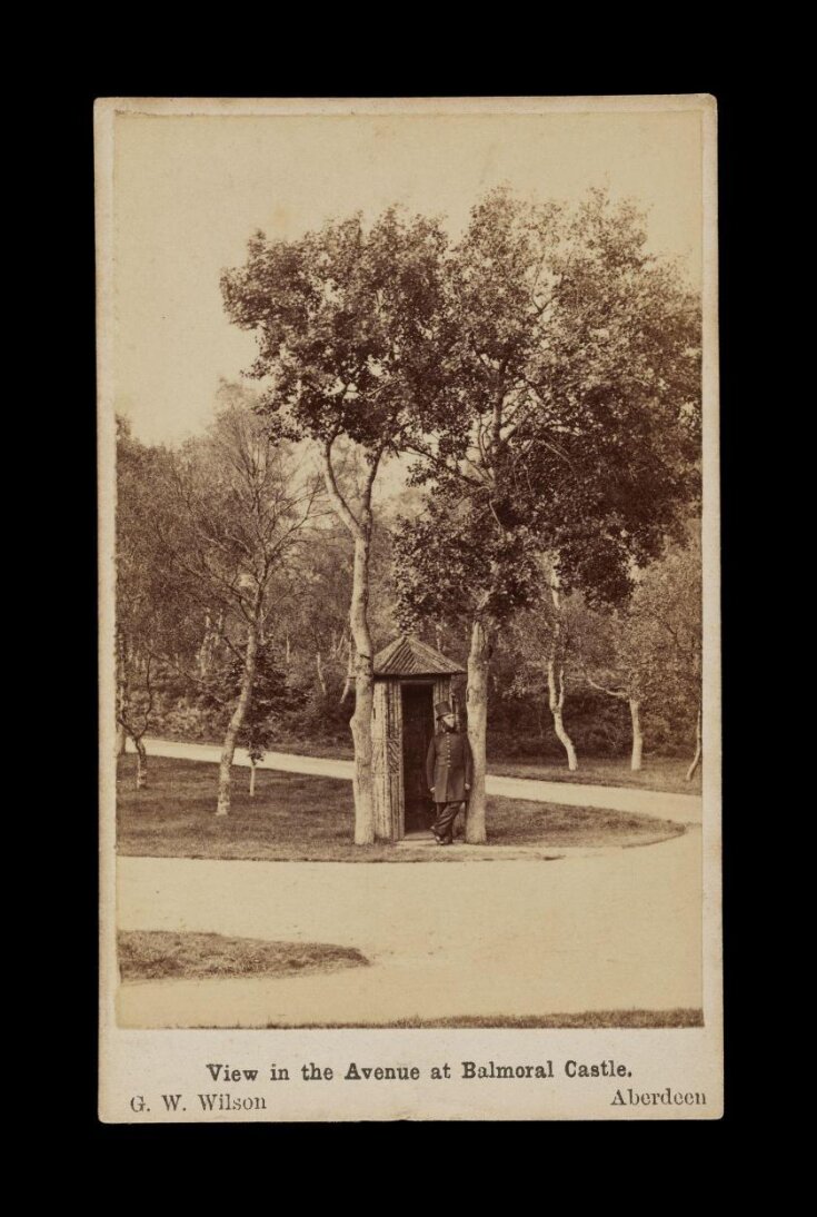 A photograph of 'View in the Avenue at Balmoral Castle.' image