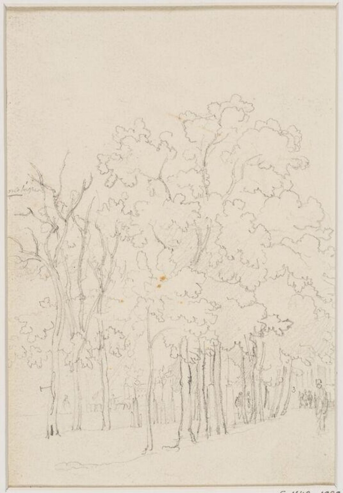 Drawing, James Stark, mid 19th century