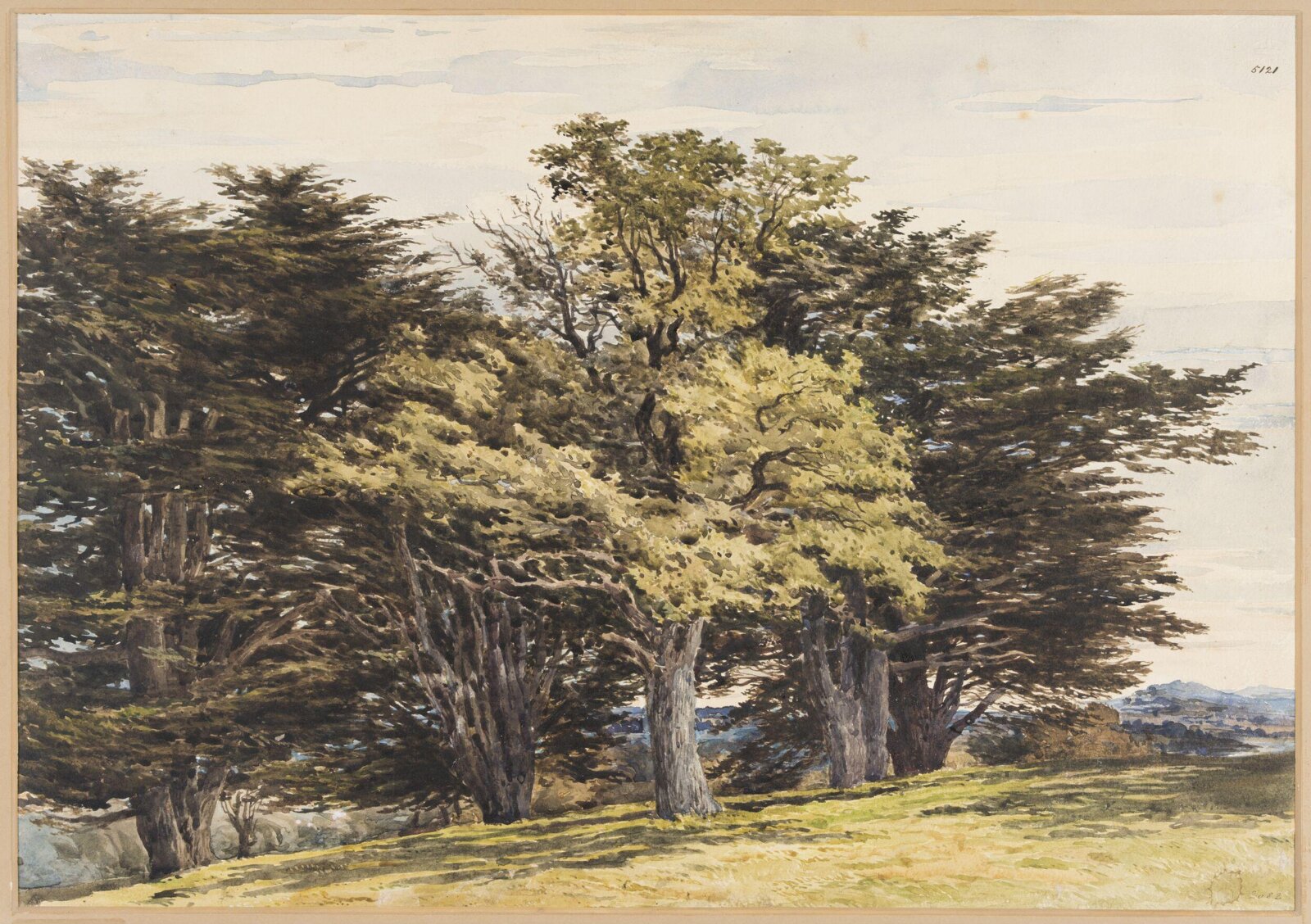 Guildford, Pyne, 19th century
