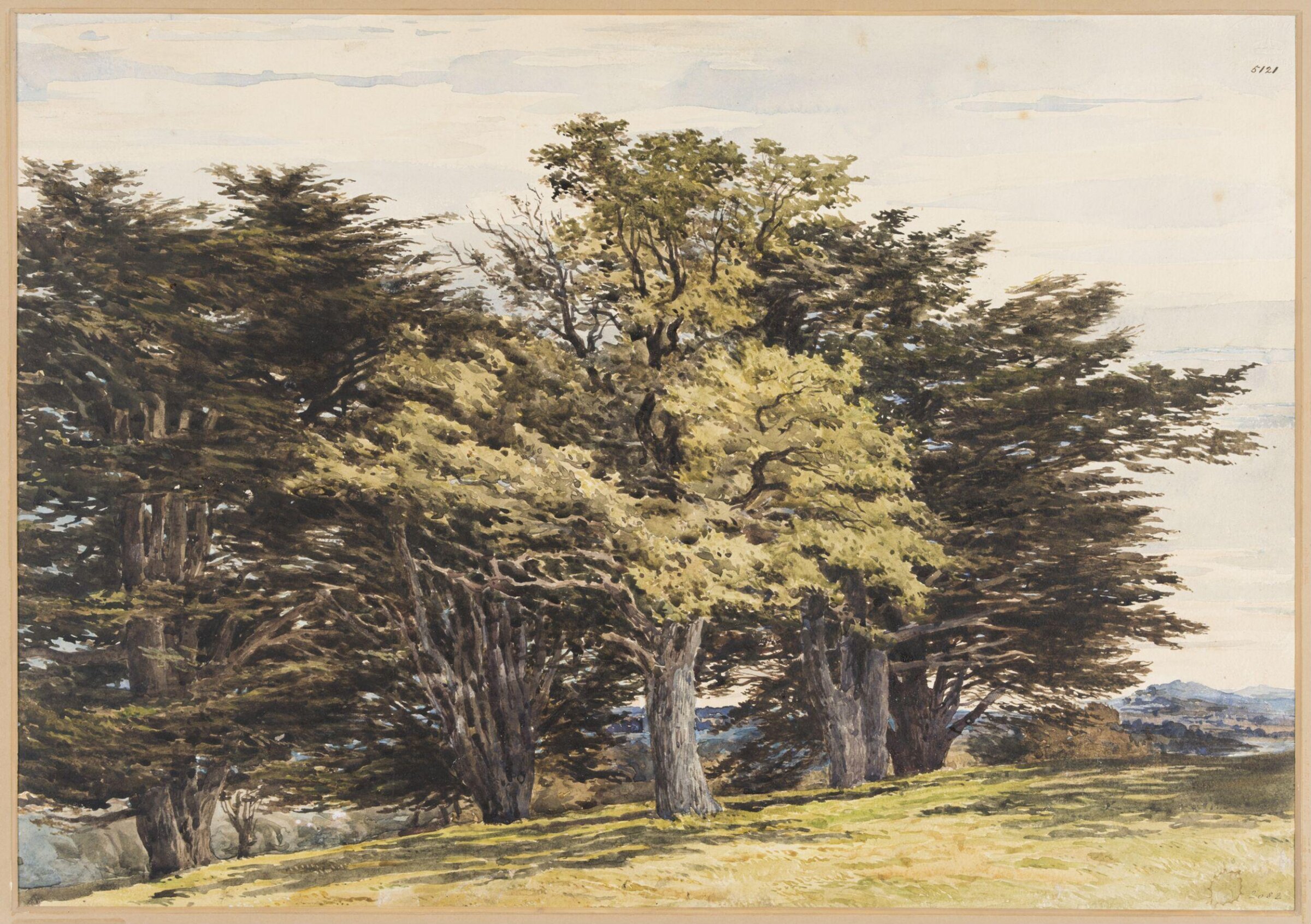 Guildford, Pyne, 19th century