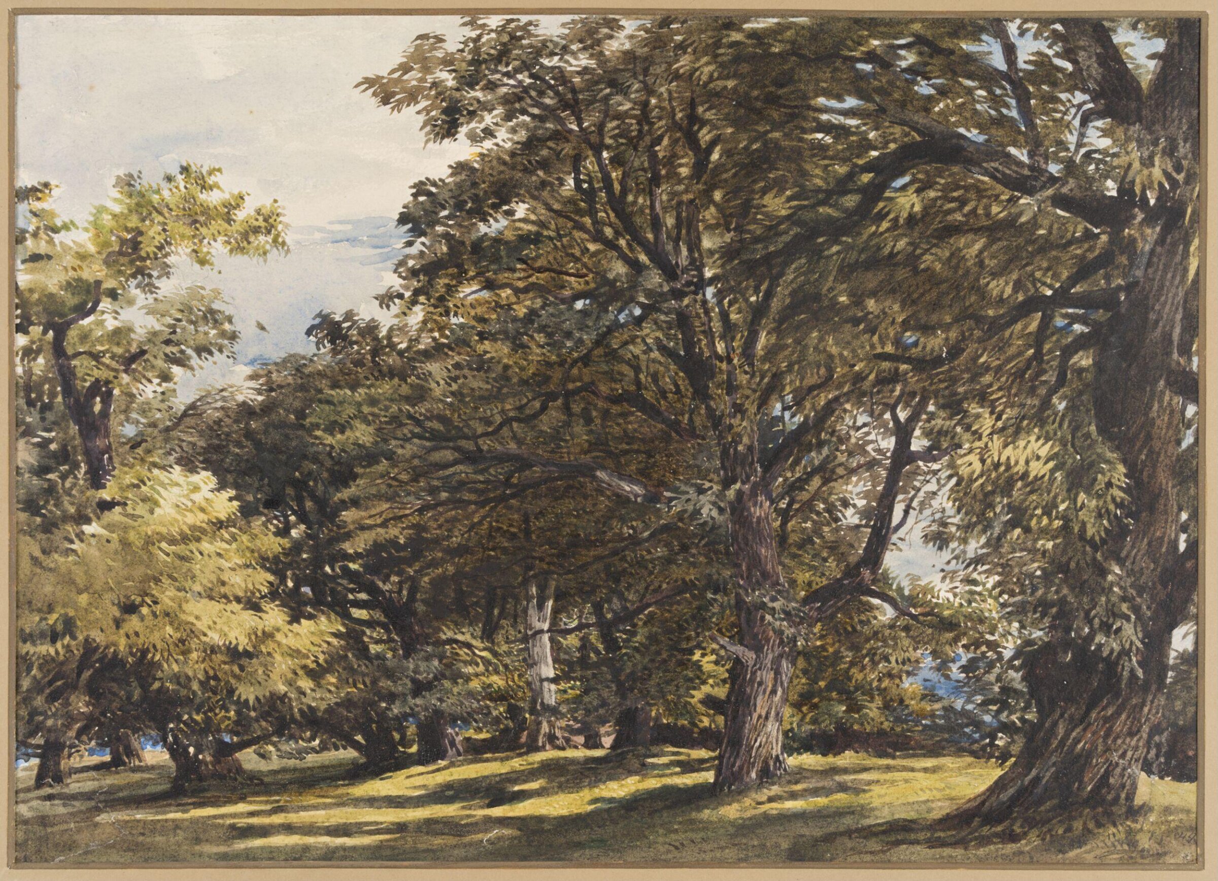 Study of Chestnut Trees, Charles Claude Pyne, 19th Century