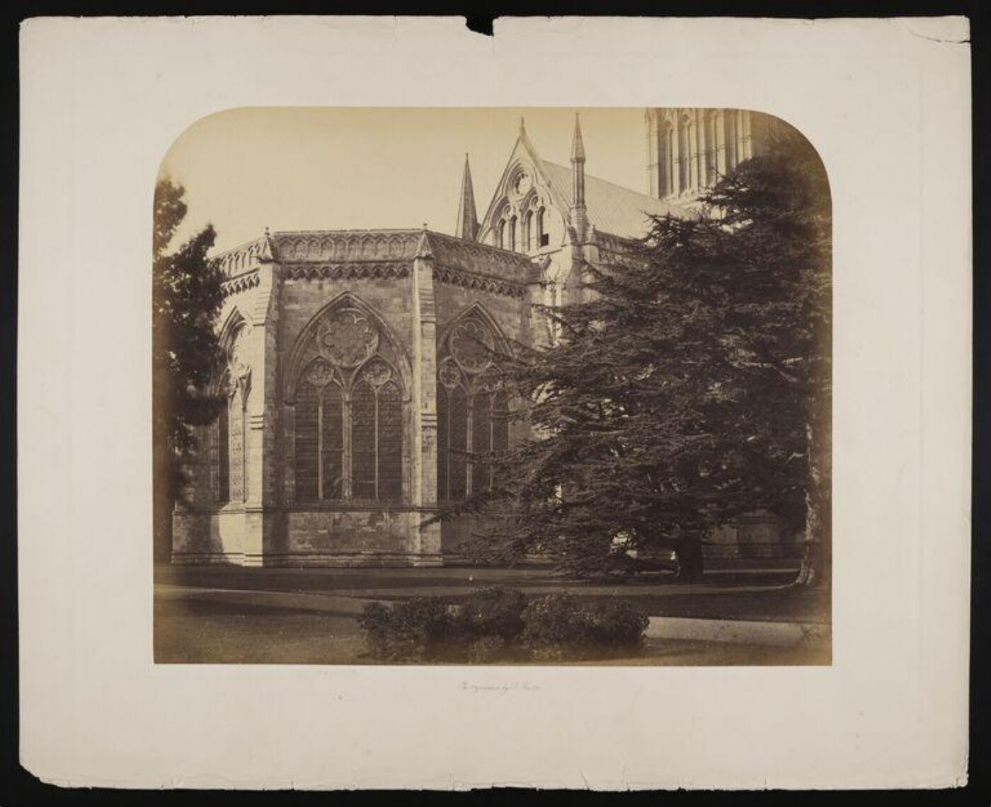 Fenton, Roger, Salisbury Cathedral
