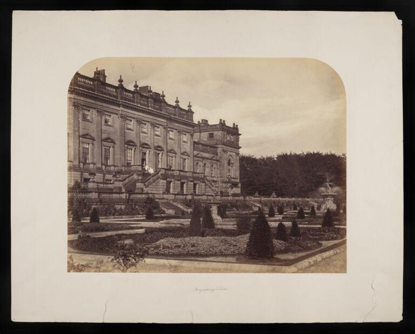 Fenton, Roger, hare