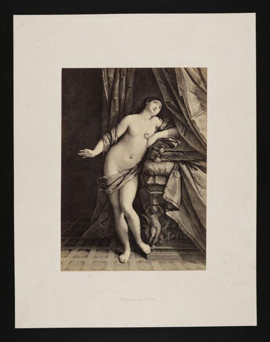 Fenton, Roger, Cleopatra