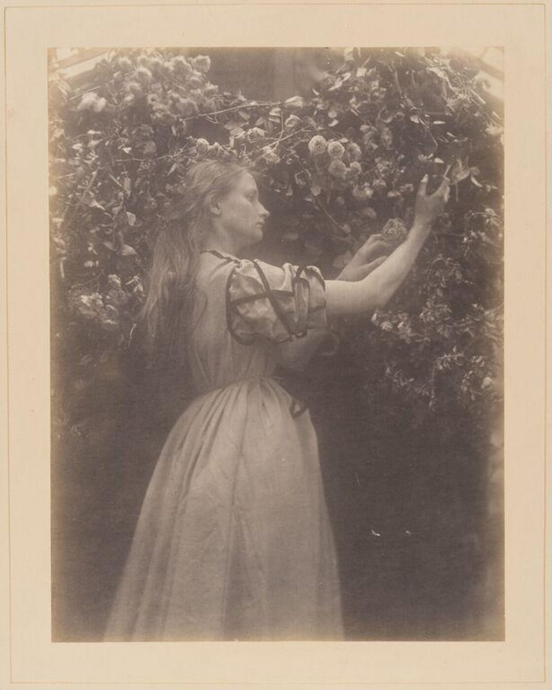 Cameron, Julia Margaret, Maud