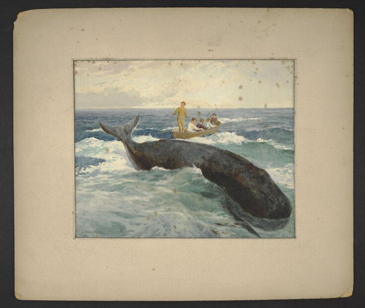 Whale top image