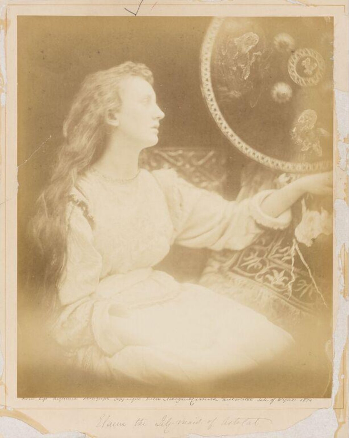 Cameron, Julia Margaret, Elaine 'the Lily maid of Astolat'