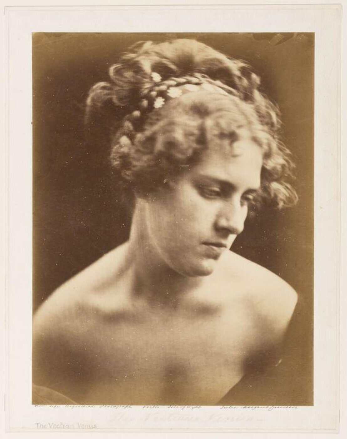 Cameron, Julia Margaret, Vectis