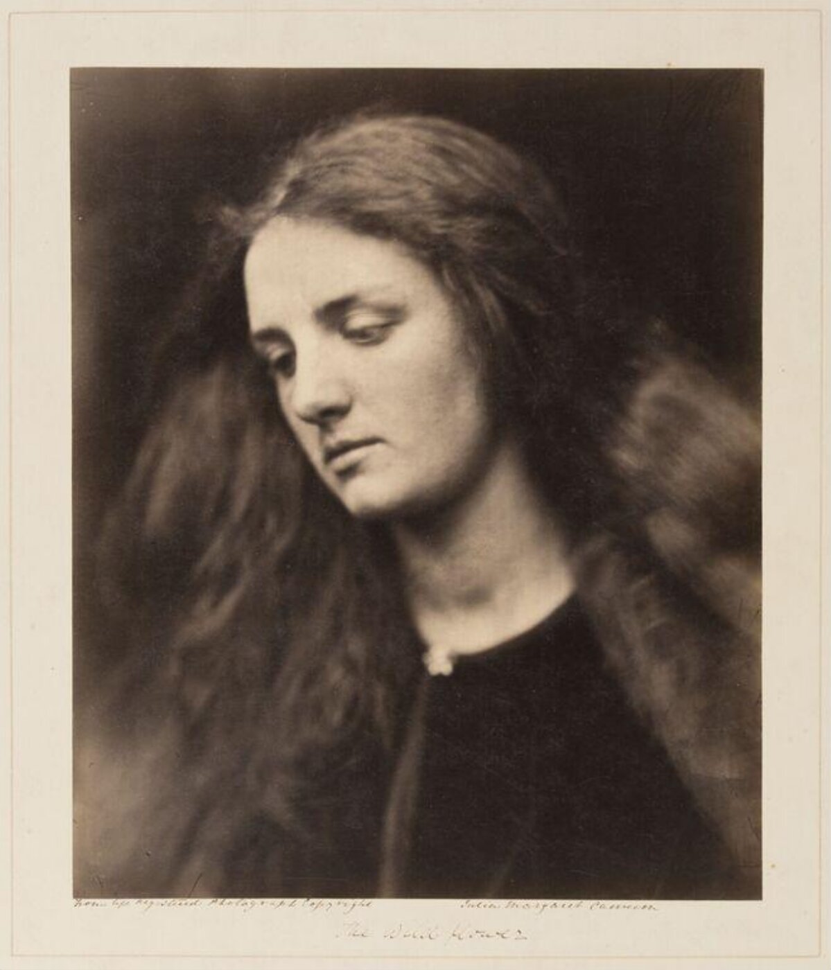 Cameron, Julia Margaret, The Wild Flower