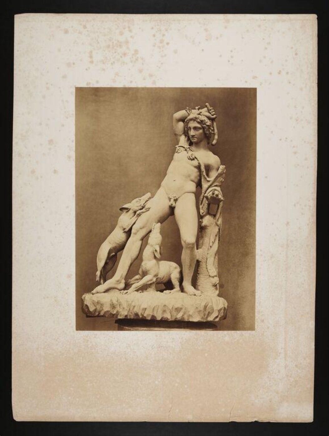 Fenton, Roger, Actaeon
