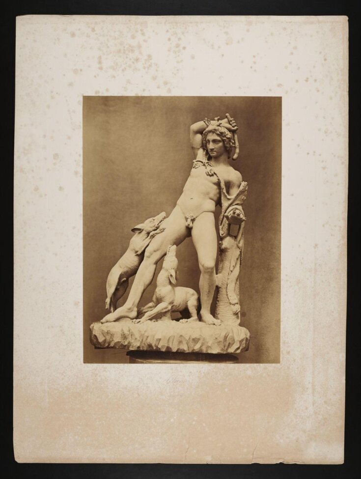 Actaeon top image