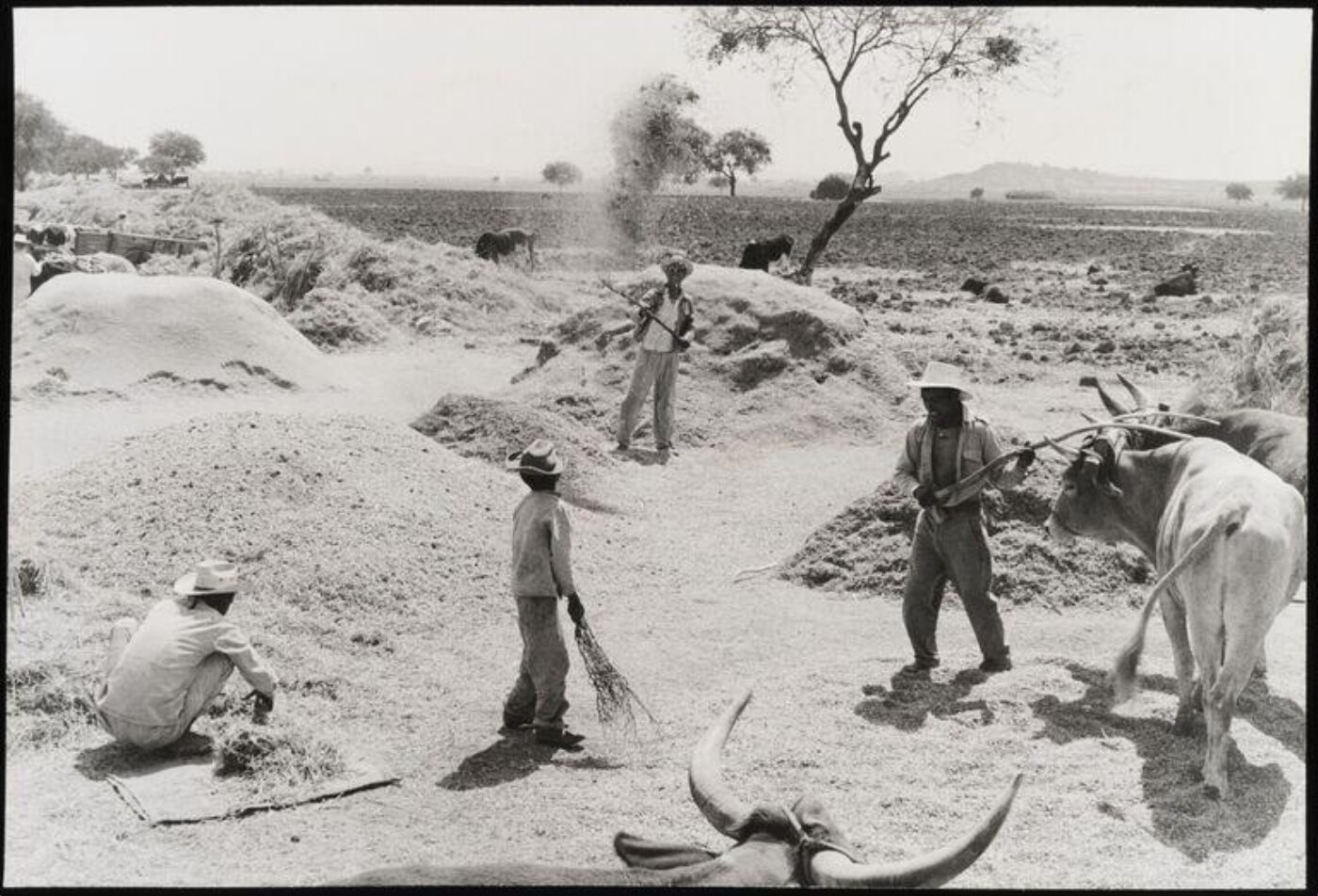 Cartier-Bresson, Henri, Photograph
