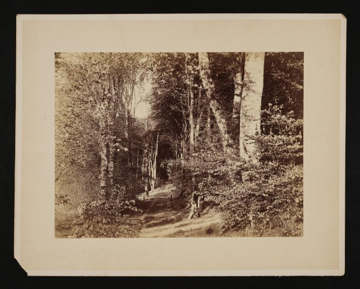 Two Men by Path in Woods top image