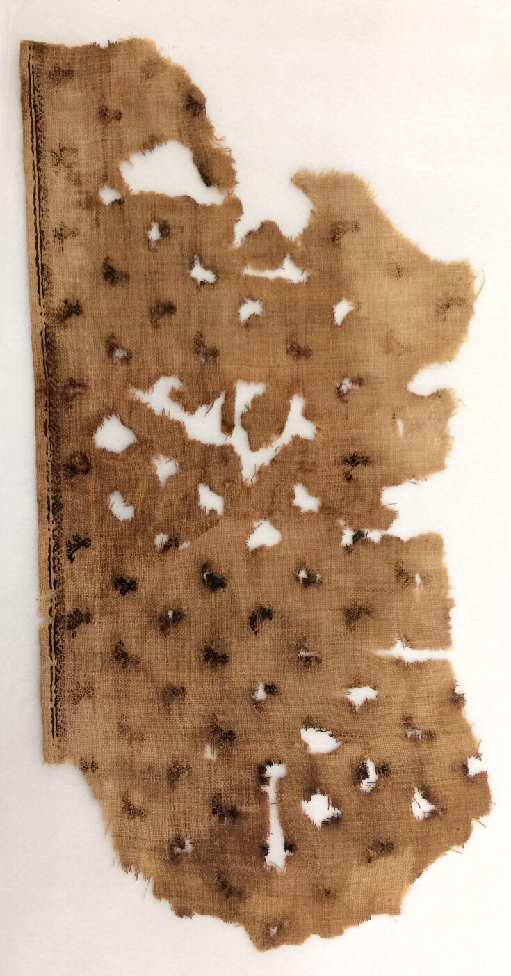 Textile Fragment top image