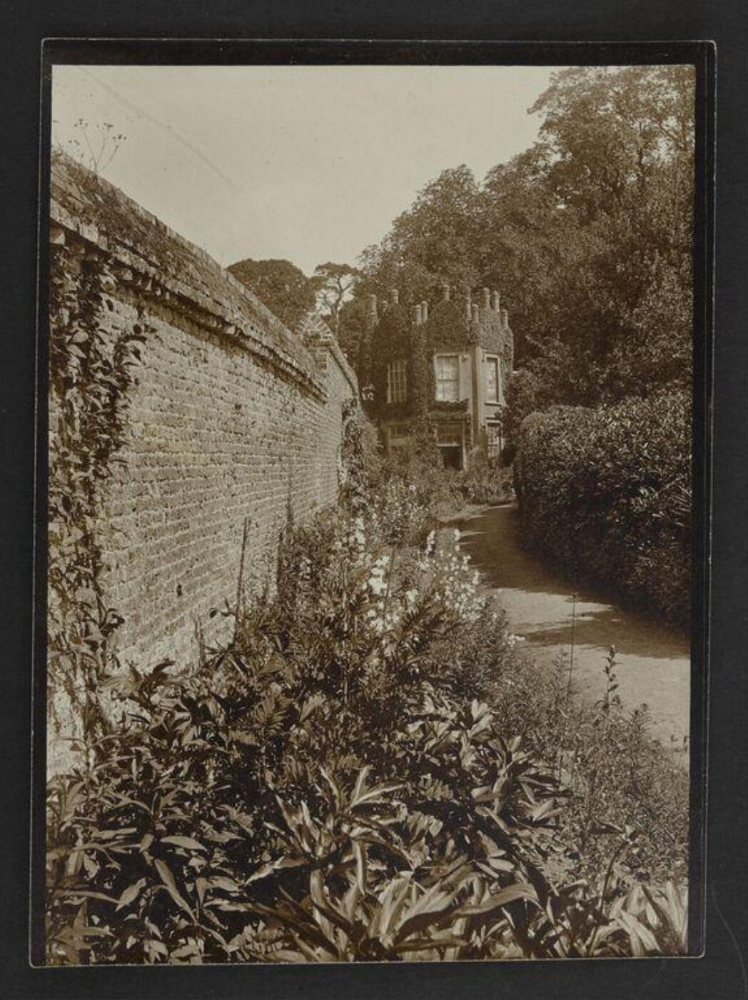 Potter, Beatrix, Photograph
