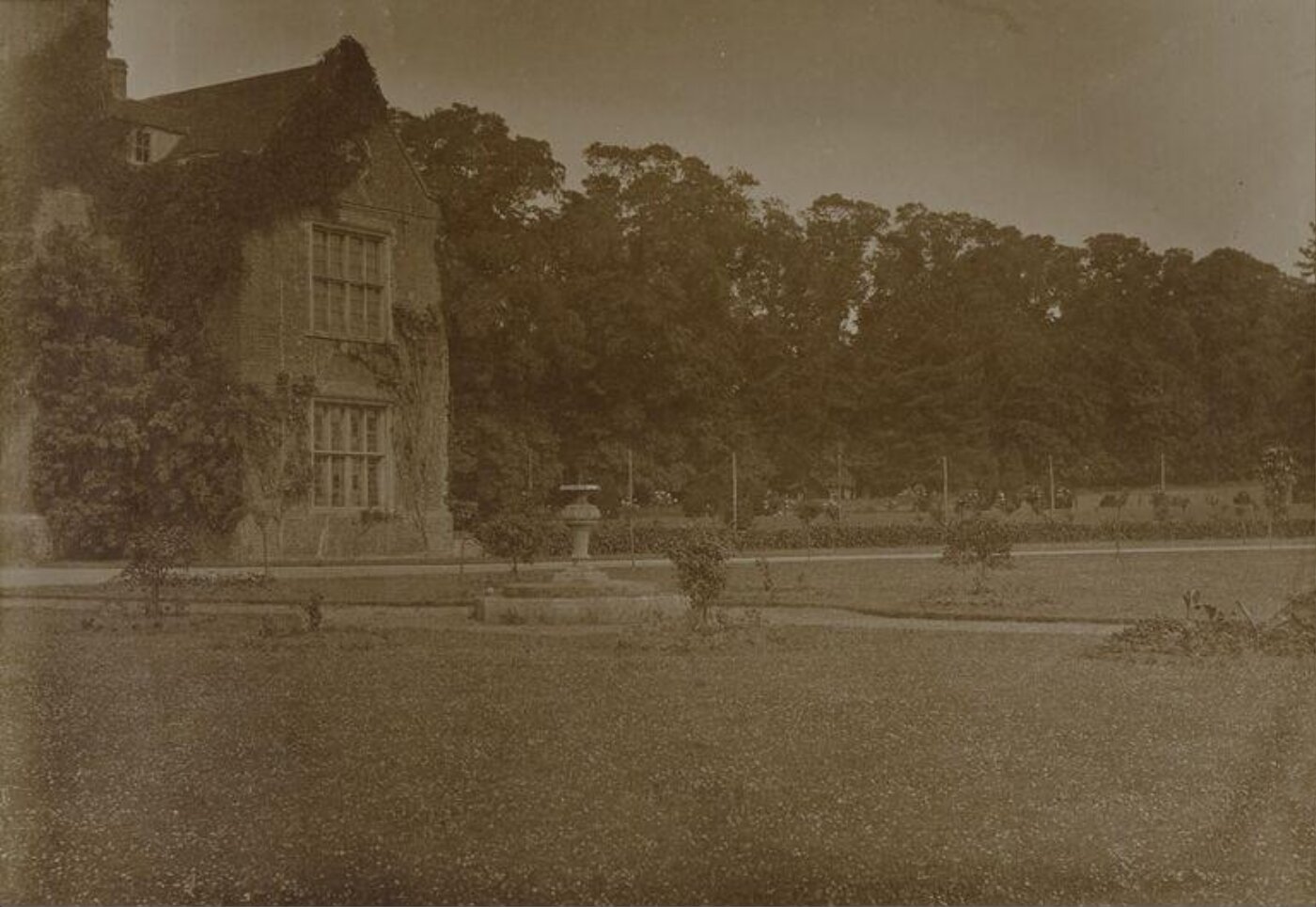 Unknown, Photograph