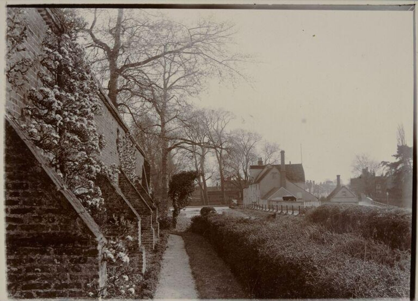 Potter, Beatrix, Photograph