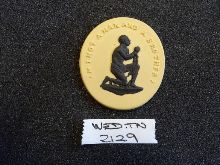 Anti-slavery medallion top image