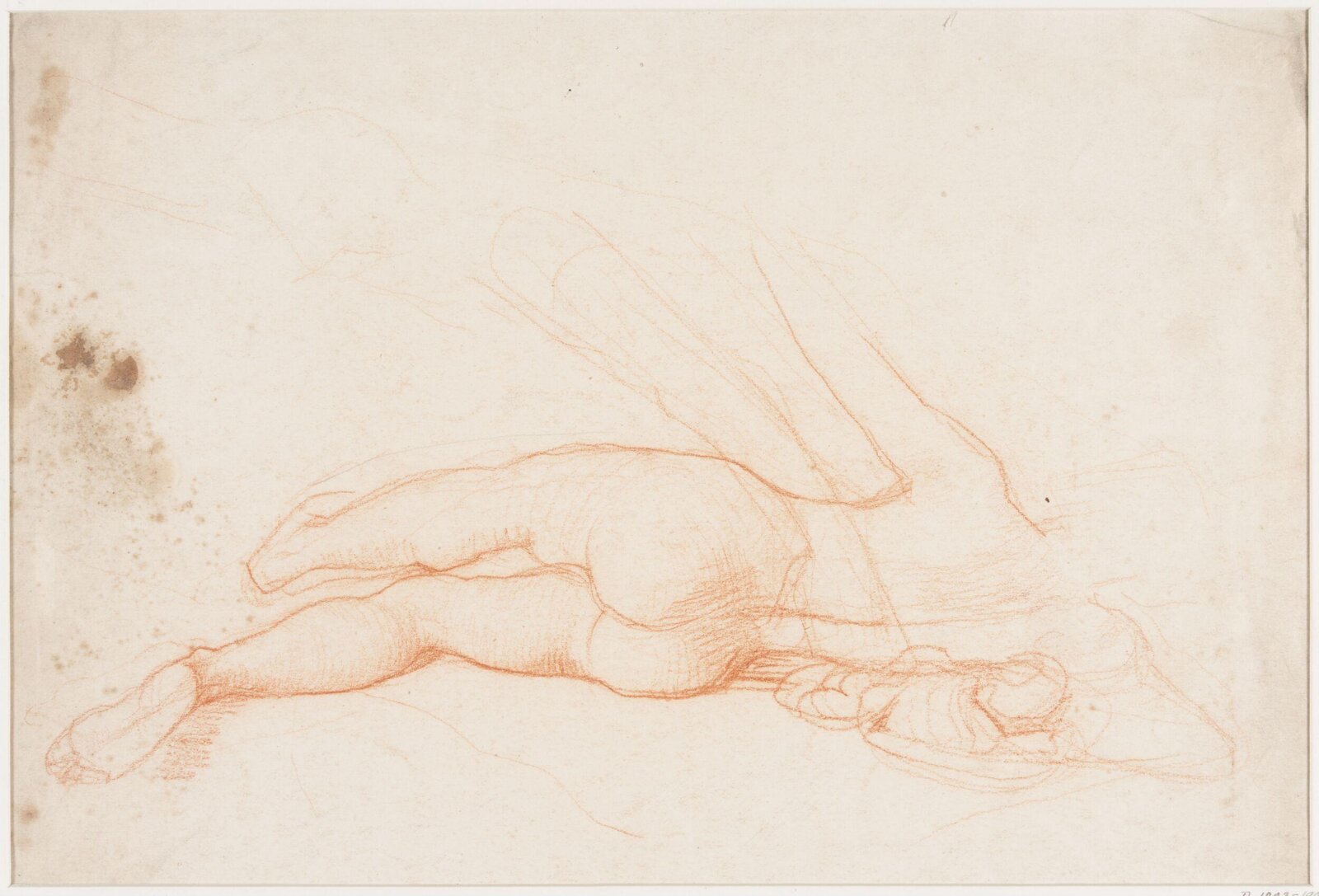 Drawing