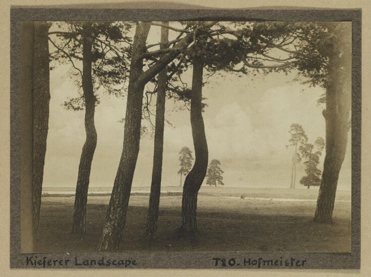Kieferer Landscape top image