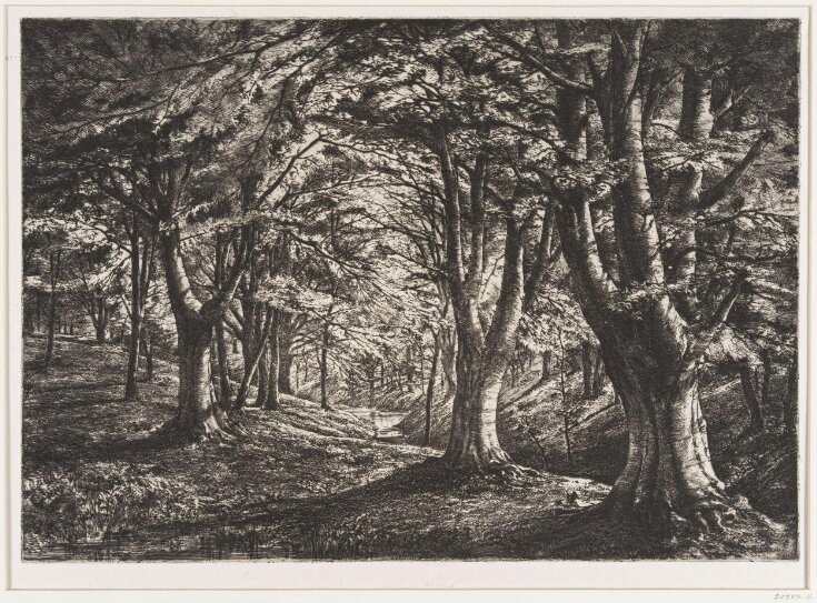 Etchings of English Landscape top image