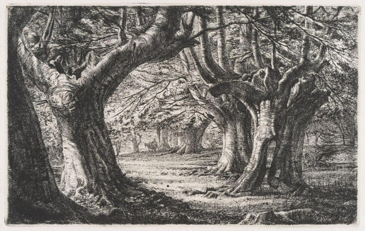 Landscape Etchings top image