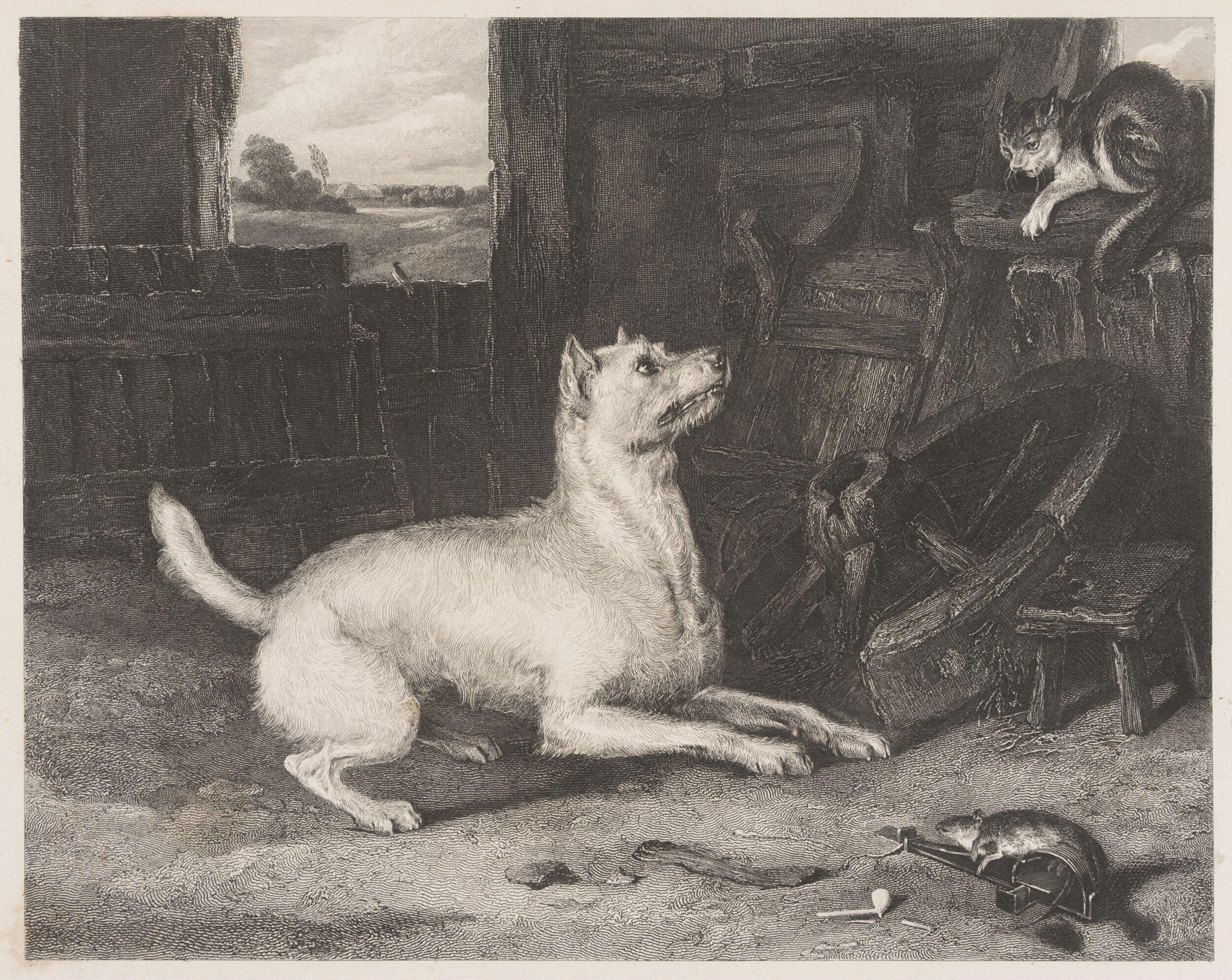 The Intruder