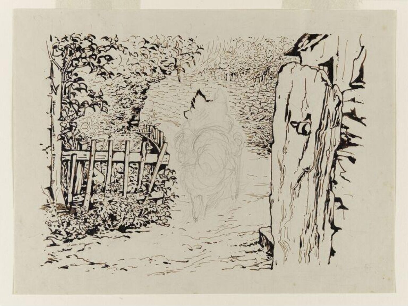 Potter, Beatrix, drawing