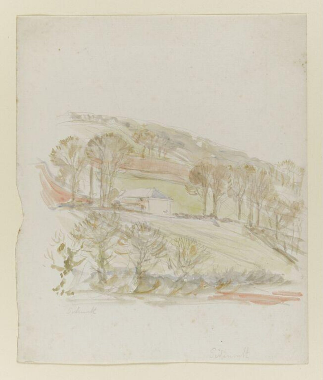 Watercolour, Beatrix Potter, ca. 1904?