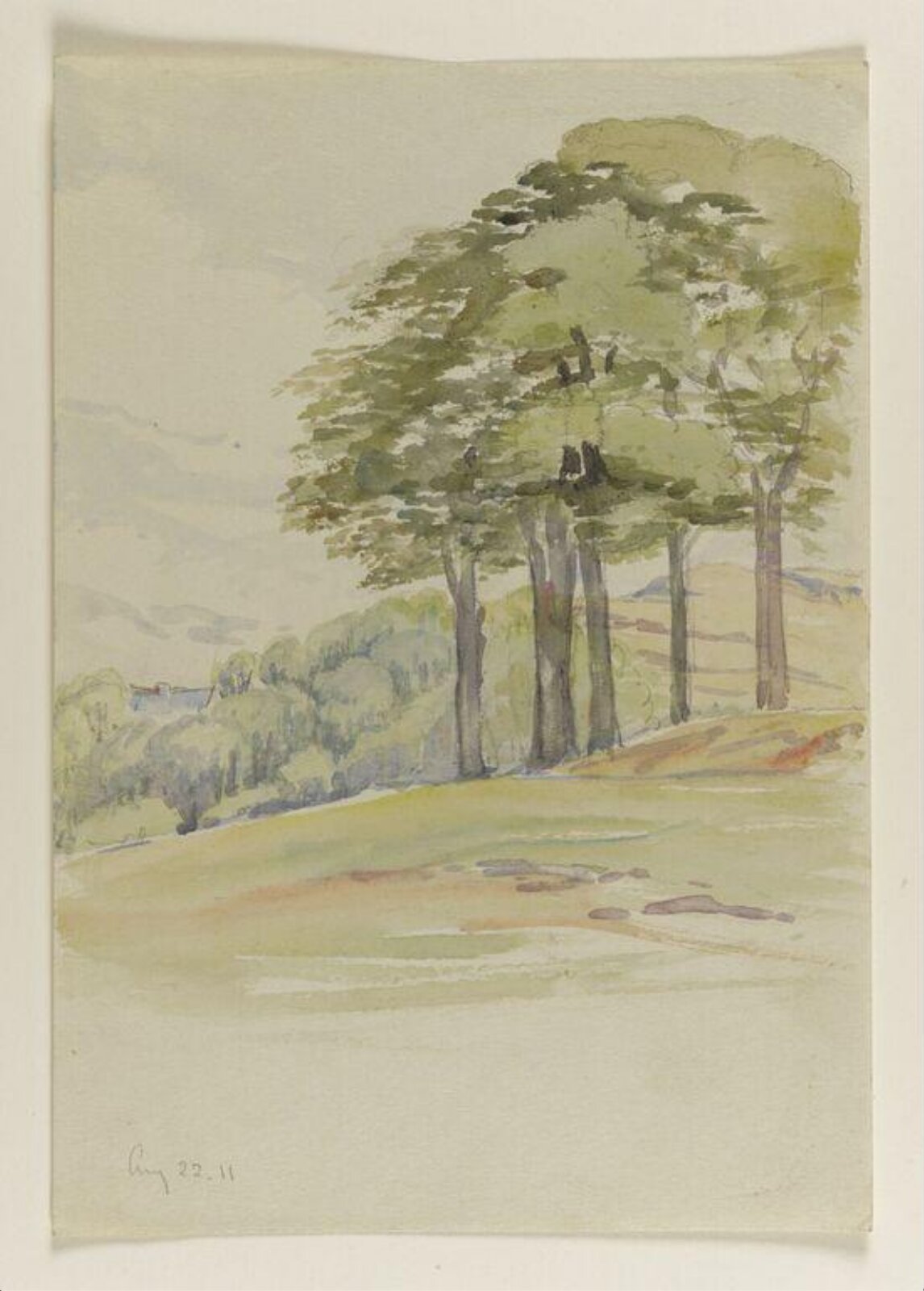 Hillside with five trees, Beatrix Potter, 22nd August 1911