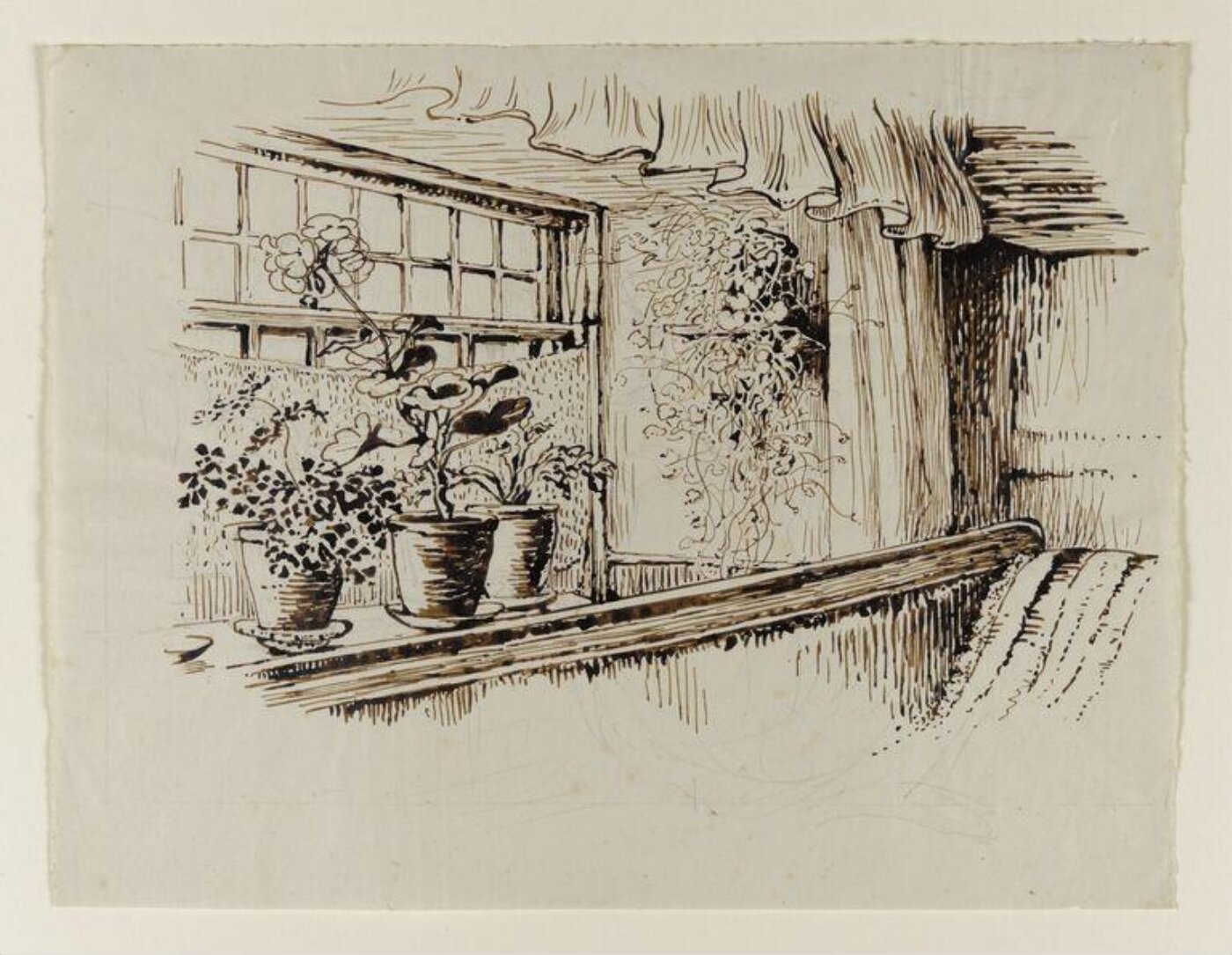 Potter, Beatrix, drawing