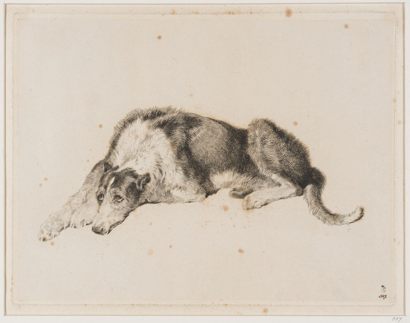 Edwin Landseer, A Deer Hound