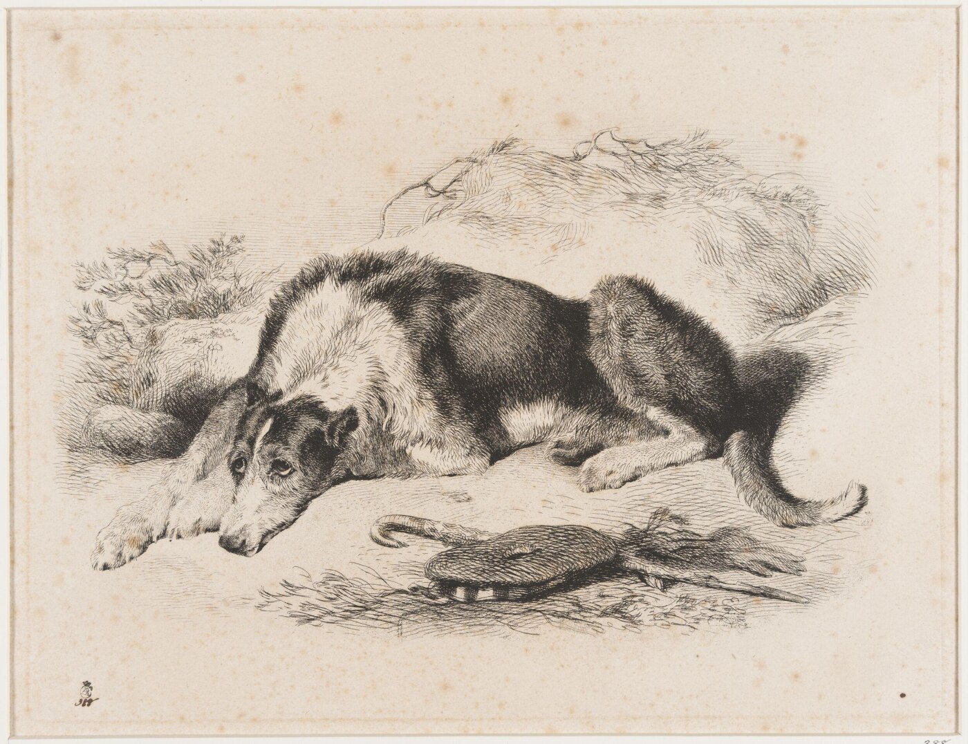 Edwin Landseer, A Deer Hound
