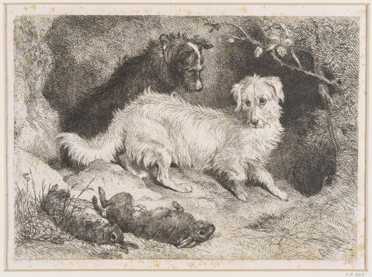 Dogs and Rabbits image