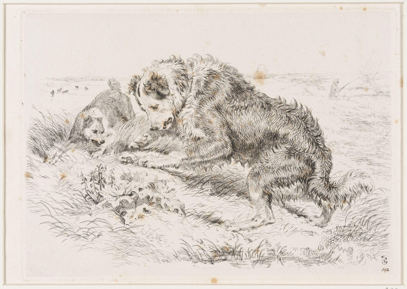Edwin Landseer, The Frog