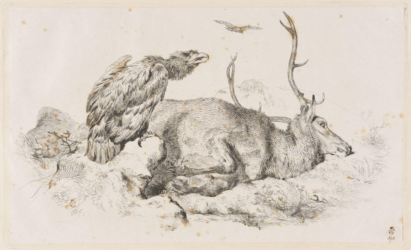 Edwin Landseer, The Eagle