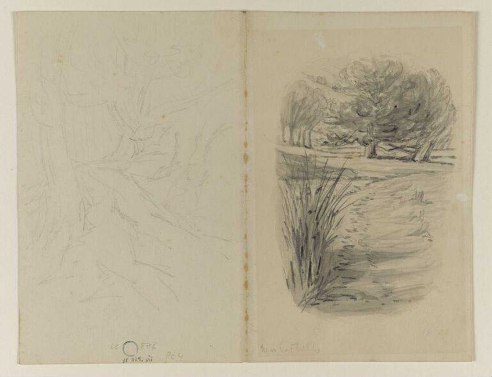 Near Catbells, Beatrix Potter, ca. 1905