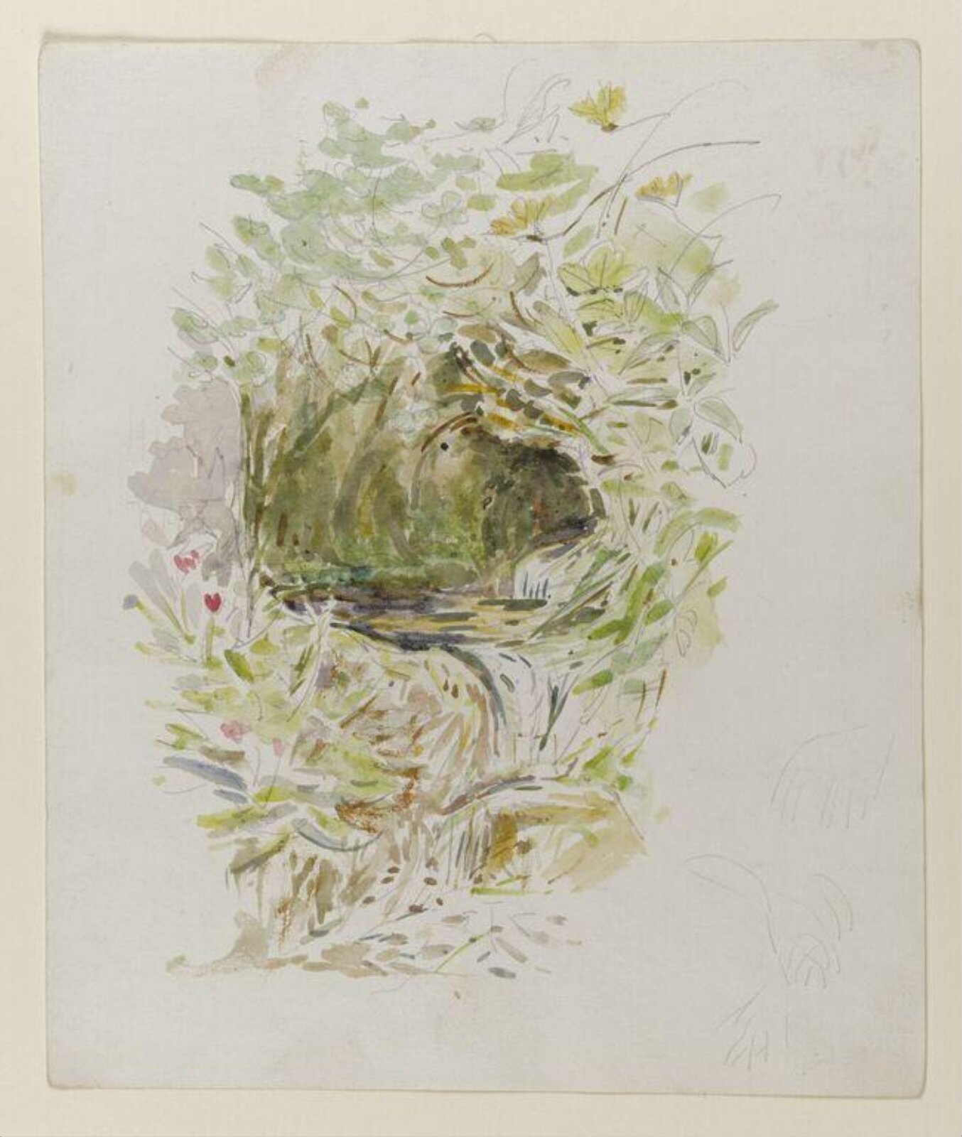 Watercolour, Beatrix Potter, ca. 1905