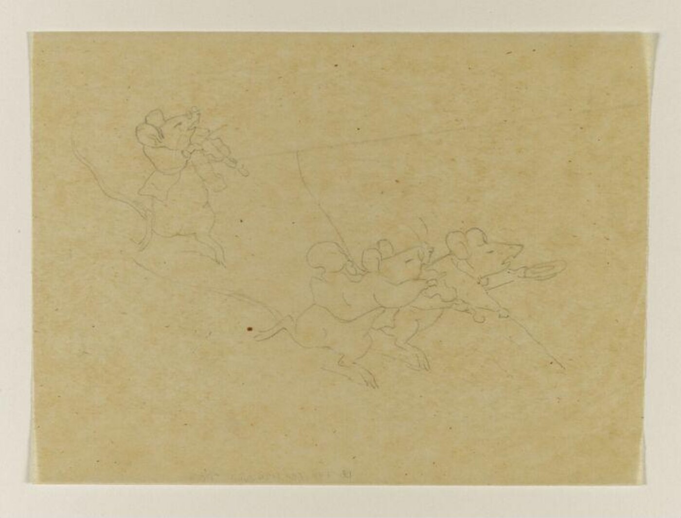Potter, Beatrix, drawing